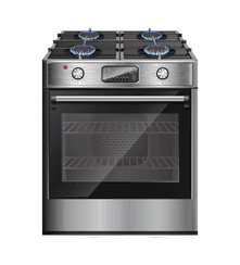 Electric & Gas stove